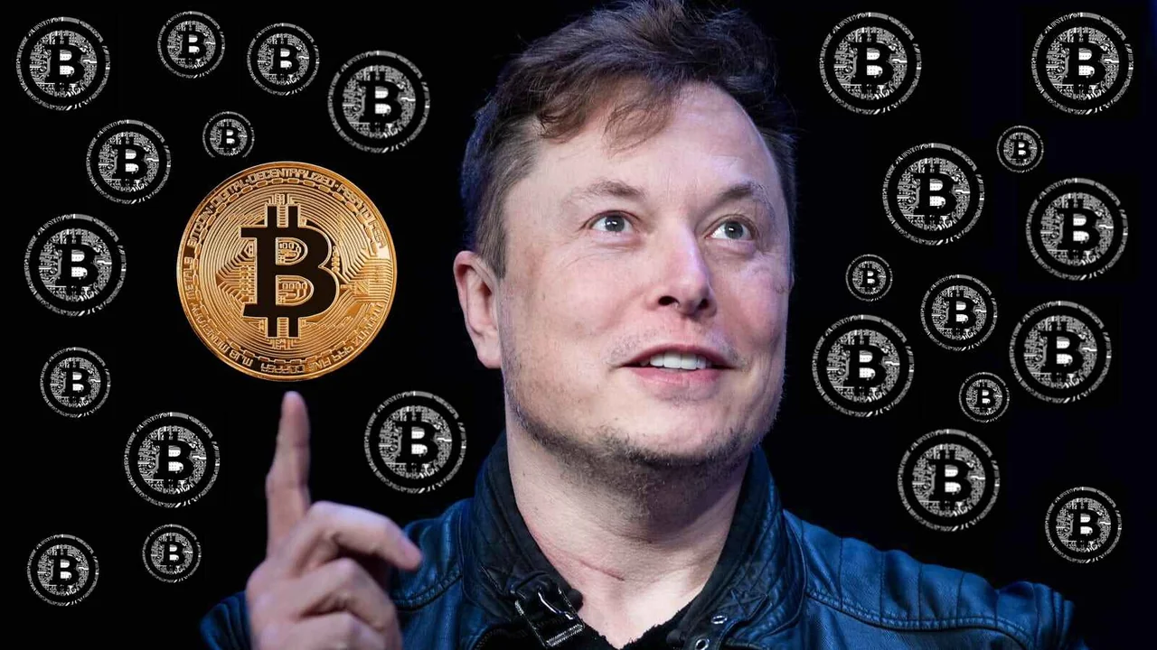 Elon Musk Bitcoin